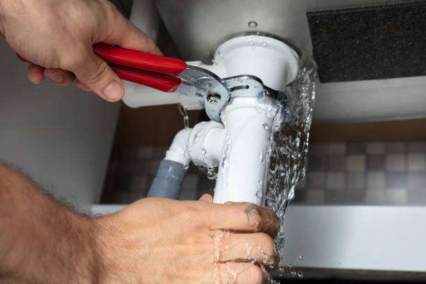 Best Water damage restoration insurance claims  in Pasadena Hills, FL