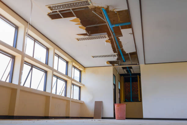 Best 24/7 water damage repair  in Pasadena Hills, FL