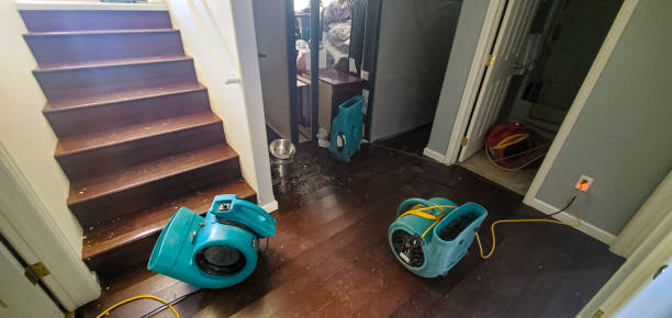 Best Emergency water damage restoration  in Pasadena Hills, FL
