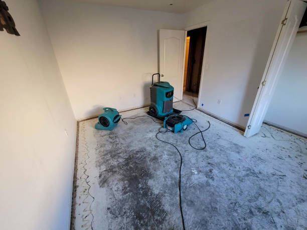 Best Residential water damage restoration  in Pasadena Hills, FL