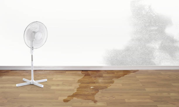 Best Water damage restoration near me  in Pasadena Hills, FL