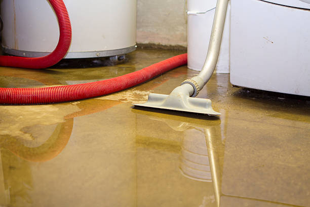 Best Water damage restoration near me  in Pasadena Hills, FL