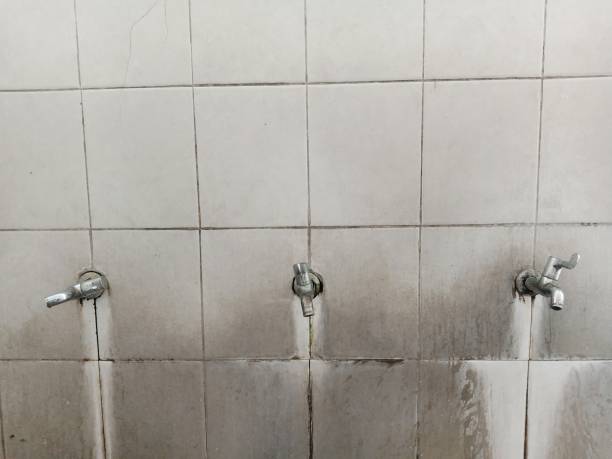 Best Emergency water damage restoration  in Pasadena Hills, FL