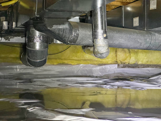 Best Flood damage cleanup  in Pasadena Hills, FL