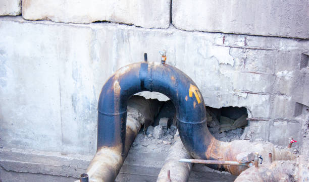 Best Professional water damage repair  in Pasadena Hills, FL