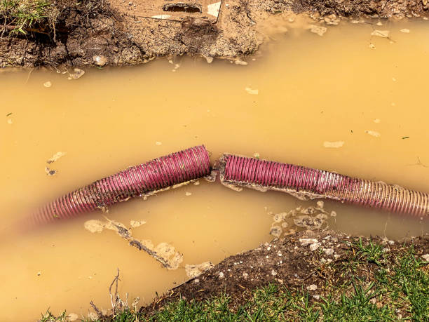 Trusted FL Water damage restoration Experts