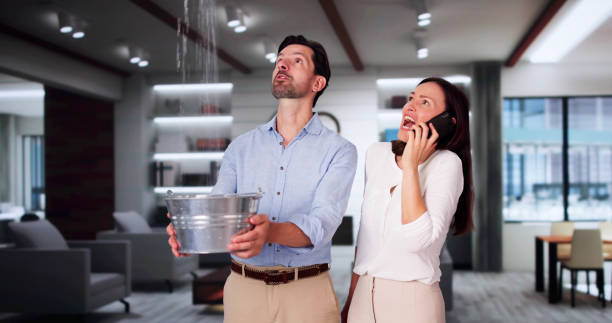 Best Water damage restoration services  in Pasadena Hills, FL